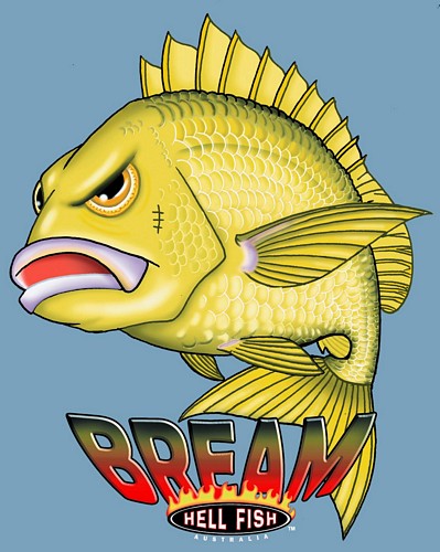 Womens - Hell Fish Bream on Sky Blue